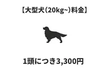 大型犬（20㎏～） 