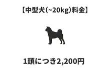 中型犬料金（20㎏未満） 