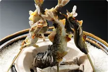 夏季【名水鮎塩焼き】夏の風物詩 夏の香り立つ鮎の塩焼き