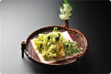 春季【山菜天婦羅】摘み草料理 春の摘み草料理「山菜天婦羅」