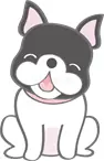 中型犬相当(25kg未満) 