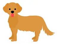 大型犬相当(25kg以上) 