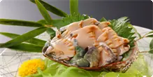 追加料理　鮑の刺身 コリコリと食感のいい鮑を肝醤油で。新鮮な素材慣れではの楽しみです。