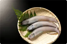 げんげの天ぷら 