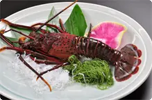 伊勢海老の活造り 2013/4/18 撮影