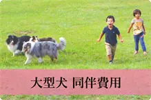 大型犬（25キロ以上）ご同伴費用 