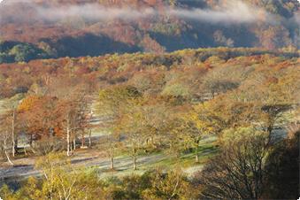 ・＜自然＞笹ヶ峰(秋):周辺の山々が紅く色づく秋も美しい風景も見事です