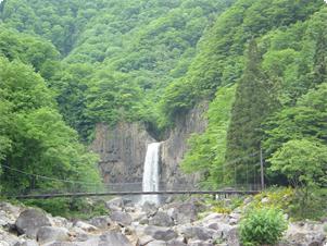 ・＜自然＞苗名滝(なえなたき):「日本の滝百選」に選ばれた名瀑で、落差55mから落ちる水は圧巻です