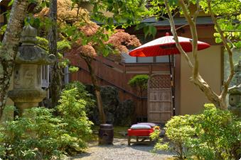 玄関横の食事処【しらゆき】赤い野点傘と緋毛氈が緑の庭に映えて、最近は外国人の方のカメラスポットです。