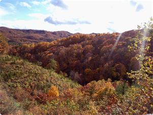 色付く秋の山々