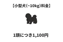 小型犬料金（10㎏未満） 