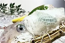 白イカ姿造り　M（２～3人前） 
