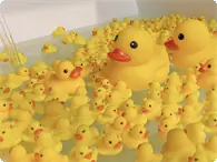 サプライズ  アヒル風呂 レンタル アヒル風呂