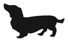 同伴ペット【小型・中型犬】 