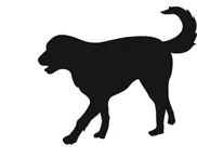 同伴ペット【大型犬】 