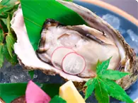 岩ガキ会席に変更 
