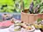 会席料理・夕食の一品